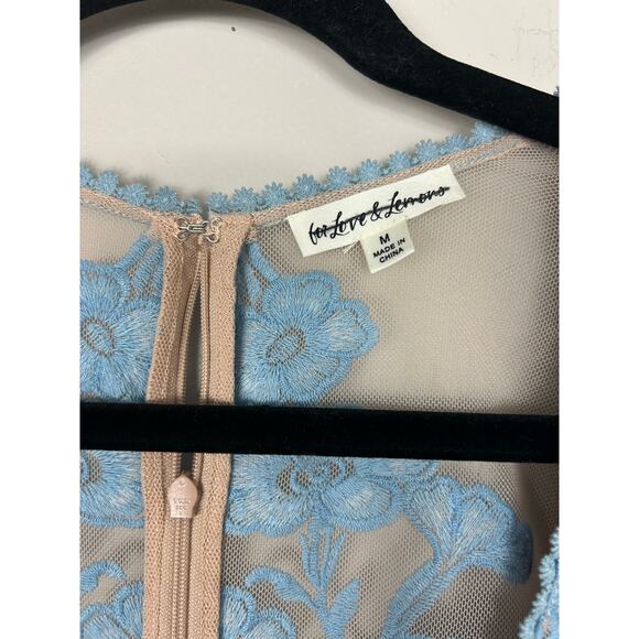 For Love And Lemons Sheer Blue and Tan Maxi Dress - Picture 9 of 13